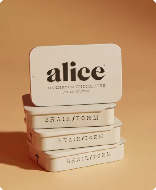 Alice Mushroom Chocolates